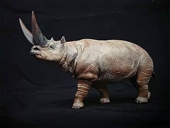 木彫　絶滅哺乳類　アルケオテリウム　頭骨模型　1/5スケール 木彫 絶滅哺乳類 アルケオテリウム 頭骨模型 1/5スケール - メルカリ